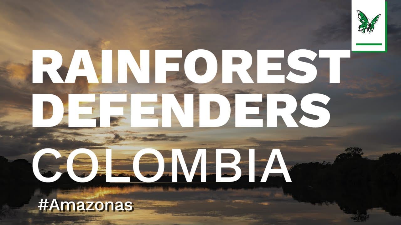 Season 3 — Colombia