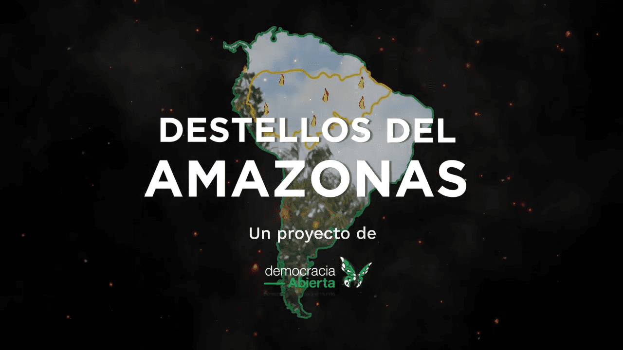 Still from: Flares from the Amazon